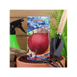 Набор семян Свекла "Фурор" округлая, с тёмно-красной мякотью, 5 шт.