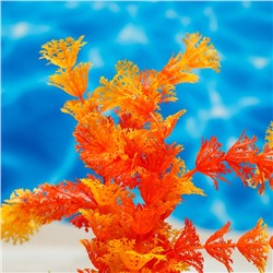 Растение искусственное с распылителем, 14×14×20 см