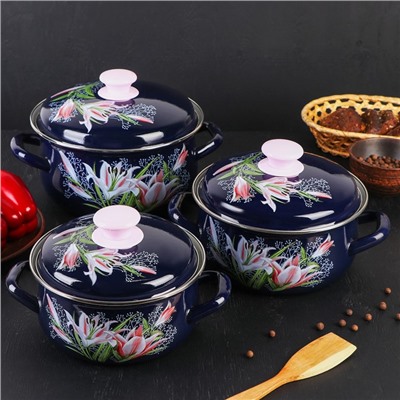 Набор кастрюль эмалированных «Версаль», 3 шт.: 1.5 л, 2 л, 3 л, индукция, синий