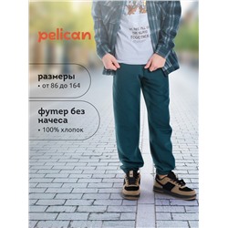 PELICAN Брюки