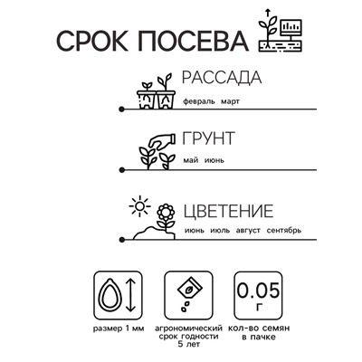 Семена  цветов Лобелия "Сапфир" ампельная,набор 5 шт
