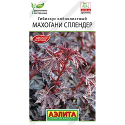 1436A Гибискус Махогани сплендер 3 шт