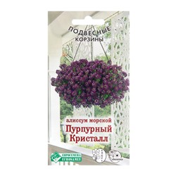 Семена цветов  Алиссум морской "Пурпурный Кристалл", 0,02 г
