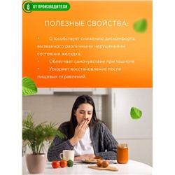Кисель "Желудочный"  с чагой и мятой / 5 пак х 12 гр / ТМ Сибирская клетчатка