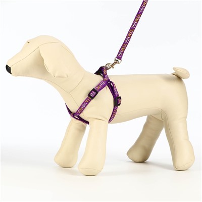 Шлейка с поводком «Звёздные косточки», 23-35 см, ширина 1 см, поводок 120 см, фиолетовая