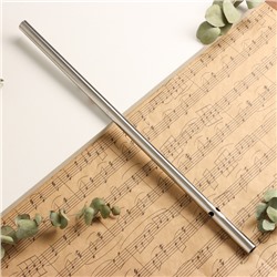 Флейта Music Life 304, 46 см, нержавеющая сталь, тональность F