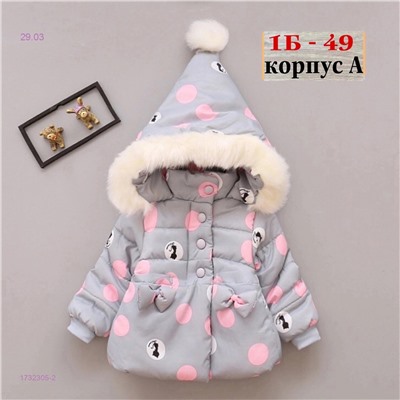 куртка осень 1732305-2