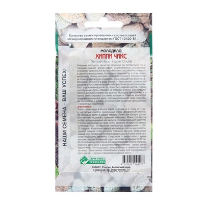 Семена молодило «Хиппи Чикс», 5 шт.