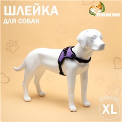 Шлейка К7, размер XL, ОГ 74-92 см, вес 28-47.5 кг, мягкая, светоотражающая, фиолетовая