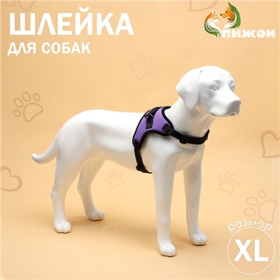 Шлейка К7, размер XL, ОГ 74-92 см, вес 28-47.5 кг, мягкая, светоотражающая, фиолетовая