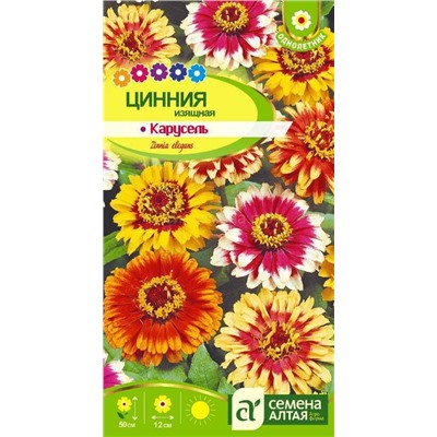 Цинния Карусель Изящная (Алтай)