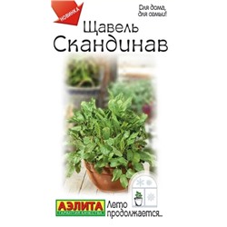 Щавель Скандинав Аэлита