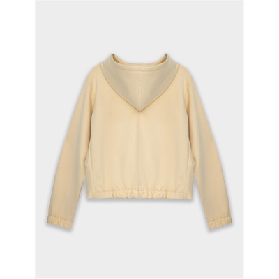 ТОЛСТОВКА ЖЕНСКАЯ 172126