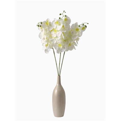 Цветы искусственные «Орхидея Изящная», 10×100 см, белые