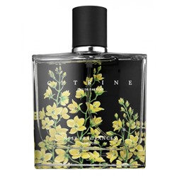NEST CITRINE edp (w) 50ml TESTER
