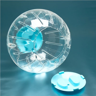 Шар для грызунов Carno, 18.5 см, синий