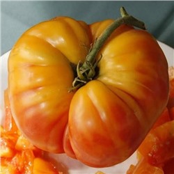 7177Т Томат Король Ананас 10шт