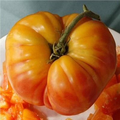 7177Т Томат Король Ананас 10шт