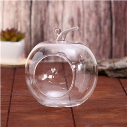 Флорариум «Яблоко», 12×12×14 см, стекло, прозрачный