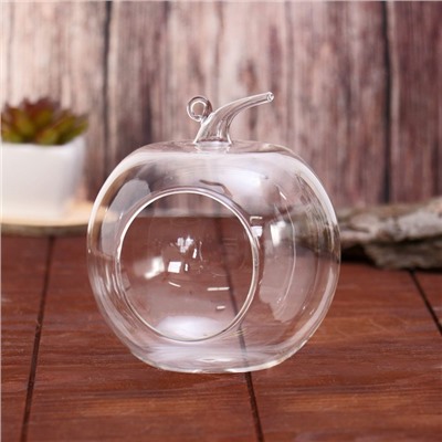 Флорариум «Яблоко», 12×12×14 см, стекло, прозрачный