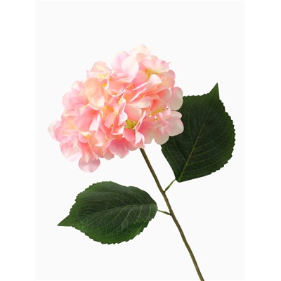 Цветы искусственные «Гортензия экстра», h=55 см, d=16 см, розовые