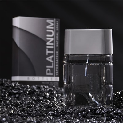Туалетная вода мужская Platinum Bottled, 100 мл (по мотивам Polo (R.Lauren)