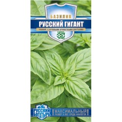 Базилик Русский гигант зеленый (Гавр)