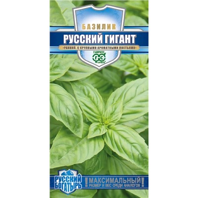 Базилик Русский гигант зеленый (Гавр)