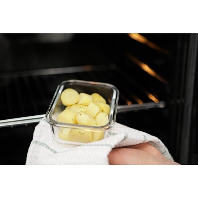 Контейнер Доляна Cook and Freeze, 380 мл, 15×11×5.5 см, с крышкой, жаропрочное стекло, МИКС