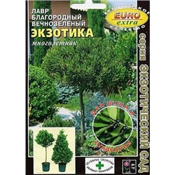 Лавр Экзотика вечнозеленый (Код: 67318)