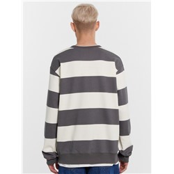 СВИТШОТ МУЖСКОЙ 121813/1