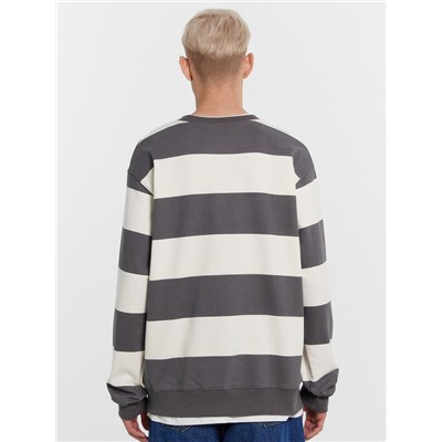 СВИТШОТ МУЖСКОЙ 121813/1