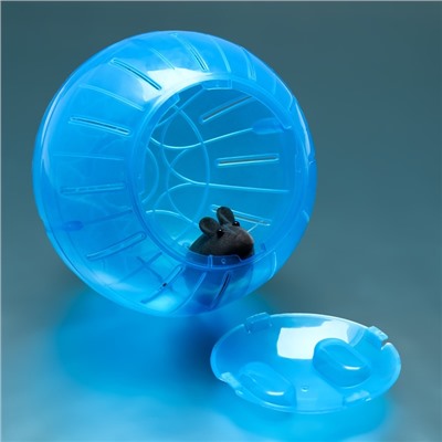 Шар для грызунов «Пижон», 14.5 см, синий