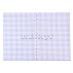 Тетрадь 96л. клетка на гребне А4 "Гламур"