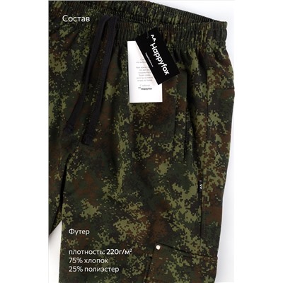 Мужские брюки из футера двухнитки Happyfox