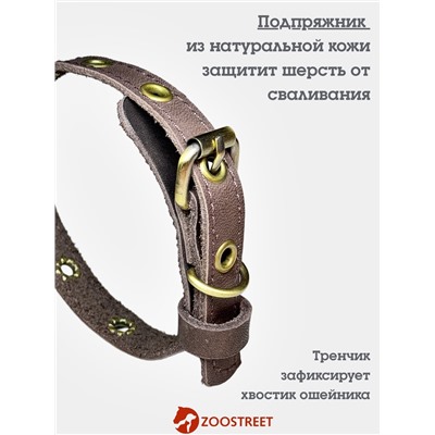 Ошейник безразмерный, 35×1.5 см, с подпряжником, кожа, коричневый