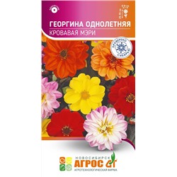 Георгина Кровавая Мэри (Код: 93785)