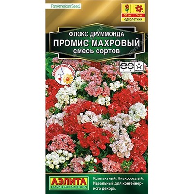 Флокс Промис (смесь) (Код: 6709)