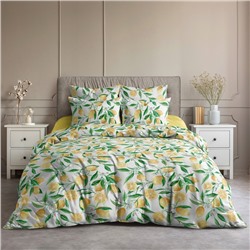 Постельное бельё 1.5-спальное «Ночь нежна. Лимоны», поплин