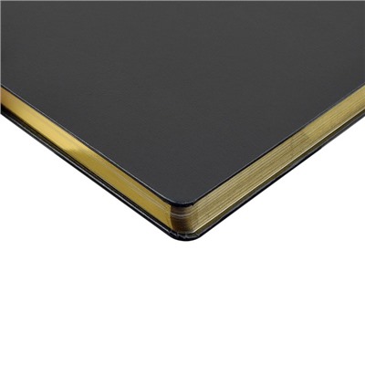 Ежедневник недатированный А4- 320 стр. "MEGAPOLIS" черный 3-026/02 Bruno Visconti