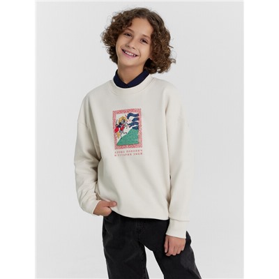 СВИТШОТ ДЛЯ МАЛЬЧИКОВ 123437/1