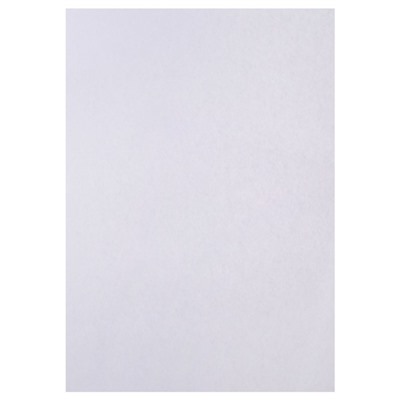 Набор 5 листов ватман, чертежный, А0, 840×1189, 200 г/м²
