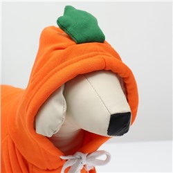 Толстовка «Любимая морковка», размер M (ДС 30, ОГ 44 см)