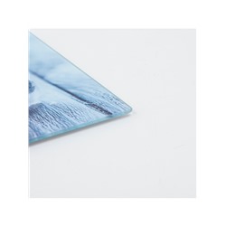 Доска разделочная Доляна «Ледяная свежесть», 30×20 см, стекло