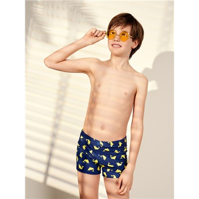 ТРУСЫ КУПАЛЬНЫЕ ДЛЯ МАЛЬЧИКОВ 703363