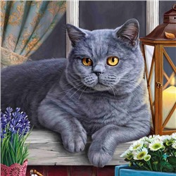 Алмазная мозаика 50*40 см с подрамником