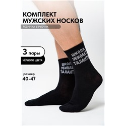 Носки мужские Талант (набор 3 пары) (Черный)