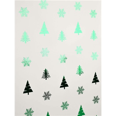 Пакет подарочный «Новогодний сюрприз», тиснение, с шишками и бахромой, 25.5×9×30 см