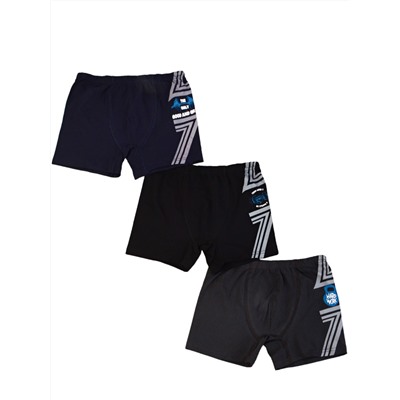 395099 (Трусы для мальчика боксеры, Baykar )