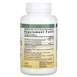 Kyolic, Aged Garlic Extract, нормальная реакция на воспаление, куркумин,100 капсул